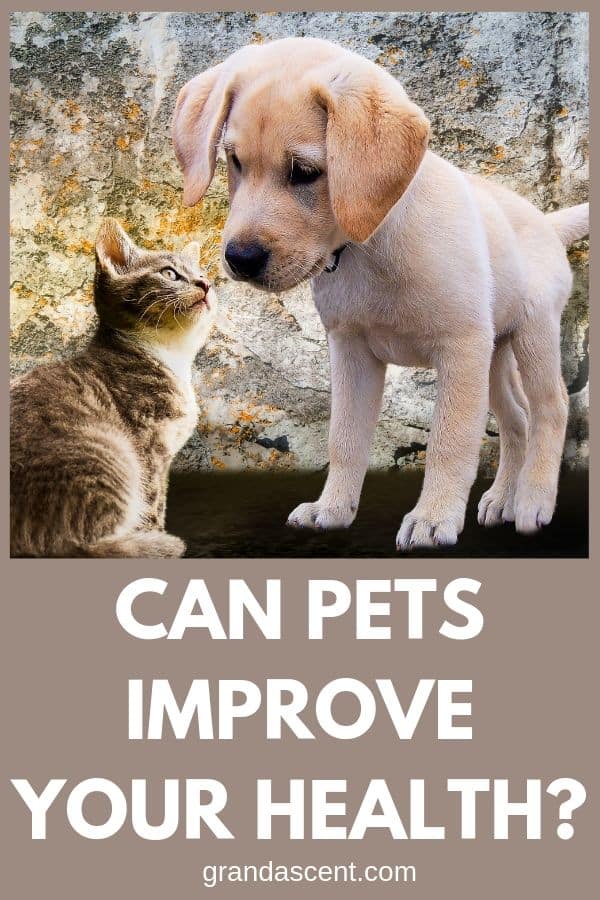 Can pets improve your life? 