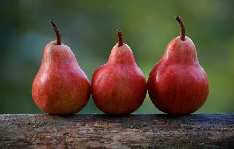 Red pears
