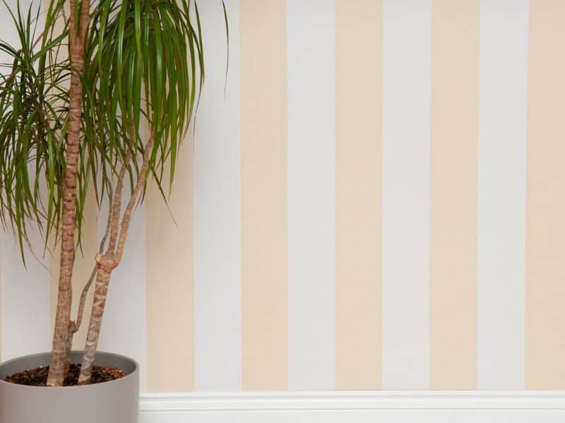 Striped bedroom wall